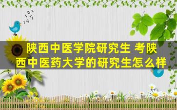 陕西中医学院研究生 考陕西中医*大学的研究生怎么样